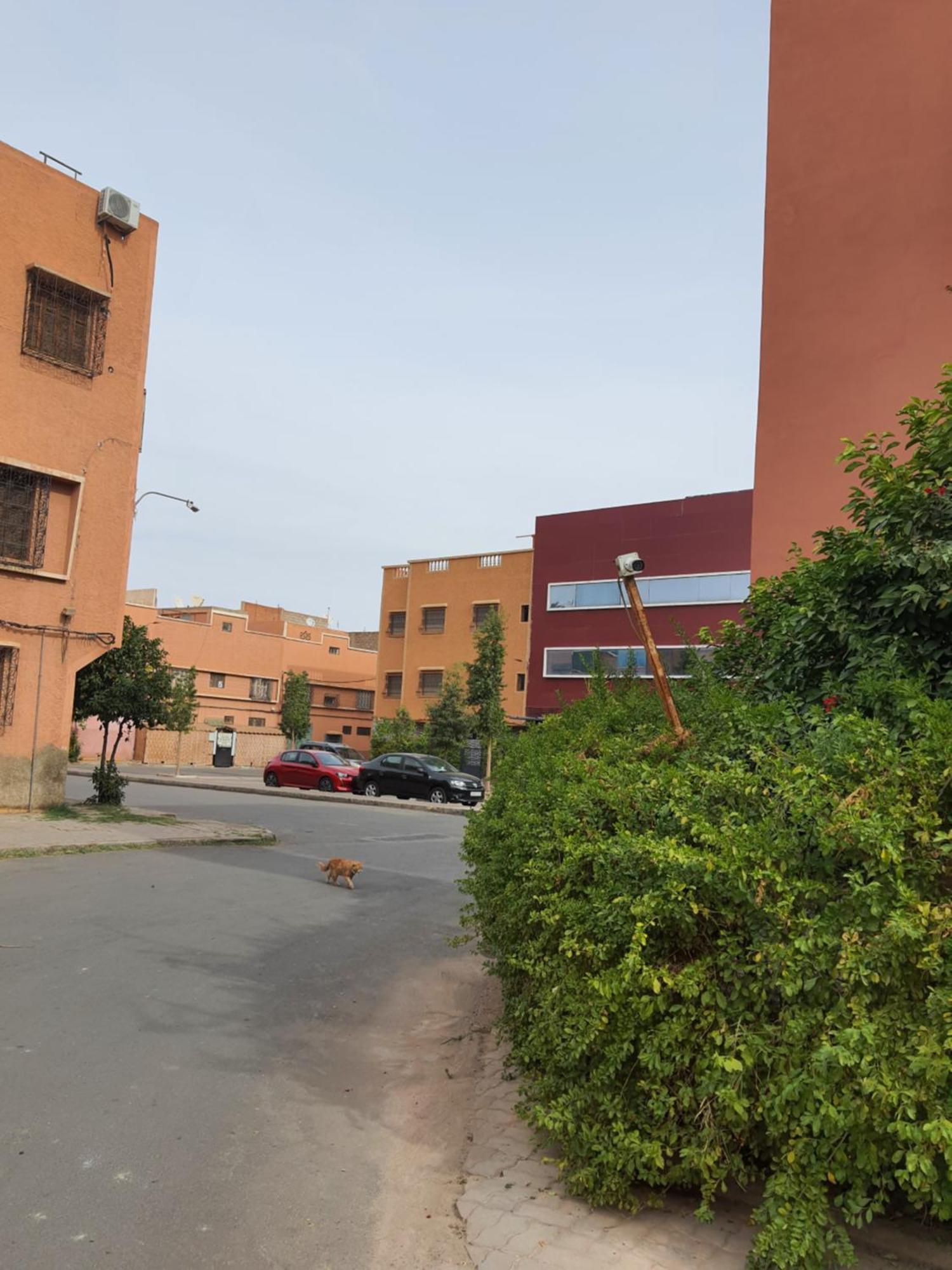 Marrakech Apartment Marrakesh Ngoại thất bức ảnh