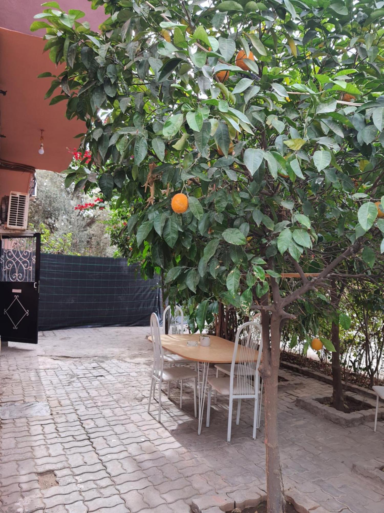 Marrakech Apartment Marrakesh Ngoại thất bức ảnh